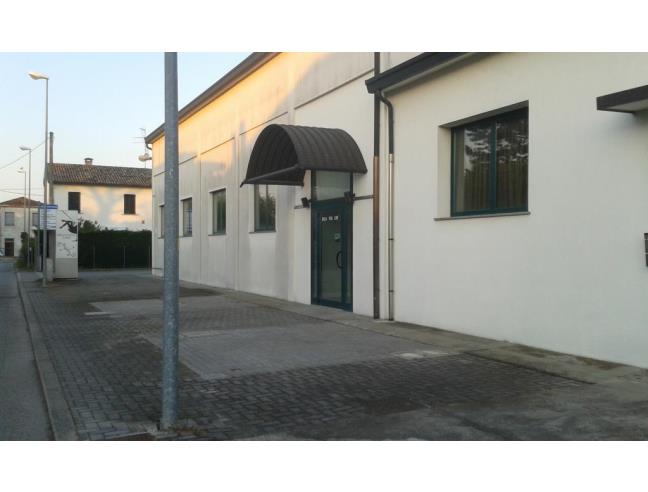 Anteprima foto 5 - Altro in Vendita a Alfonsine (Ravenna)