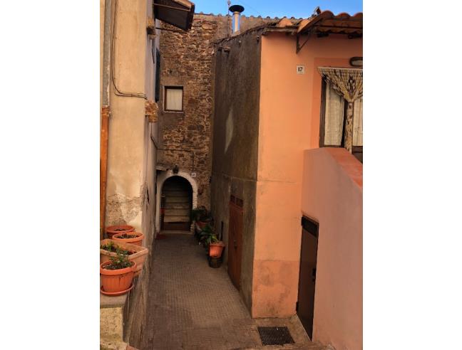 Anteprima foto 8 - Altro in Vendita a Allumiere (Roma)