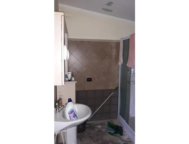 Anteprima foto 6 - Altro in Vendita a Aquino (Frosinone)