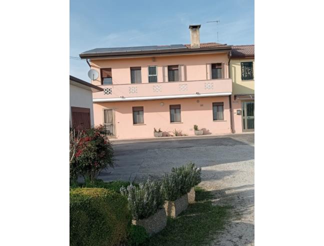 Anteprima foto 2 - Altro in Vendita a Arzergrande (Padova)