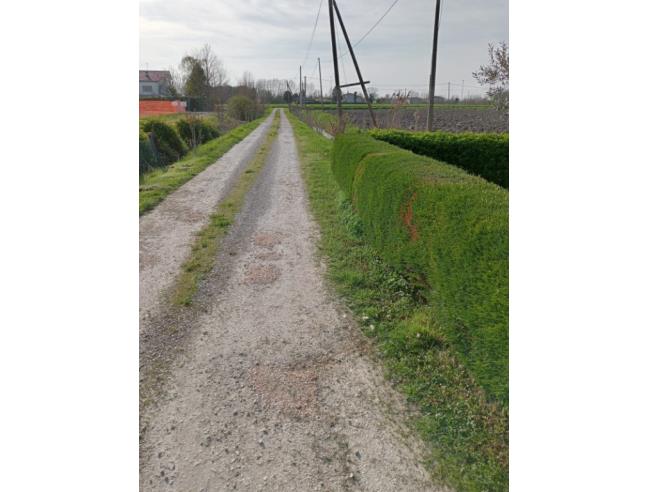 Anteprima foto 5 - Altro in Vendita a Arzergrande (Padova)