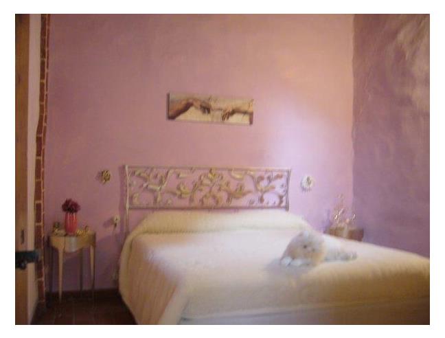 Anteprima foto 4 - Altro in Vendita a Barberino Tavarnelle (Firenze)