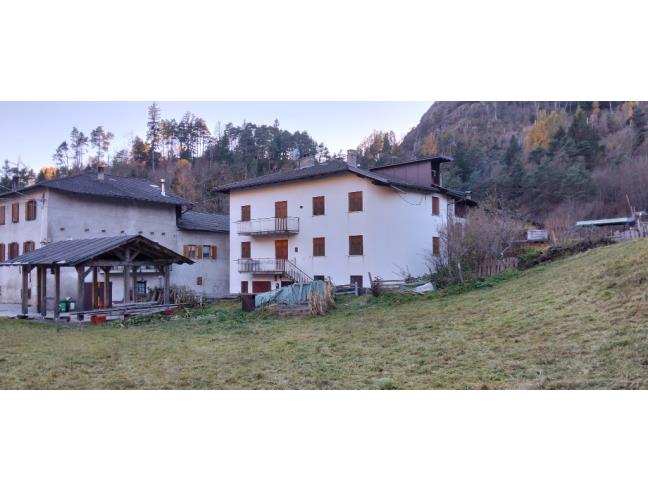 Anteprima foto 2 - Altro in Vendita a Baselga di Pinè - Faida
