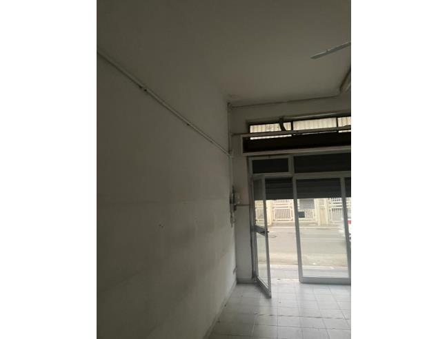 Anteprima foto 6 - Altro in Vendita a Bitonto (Bari)