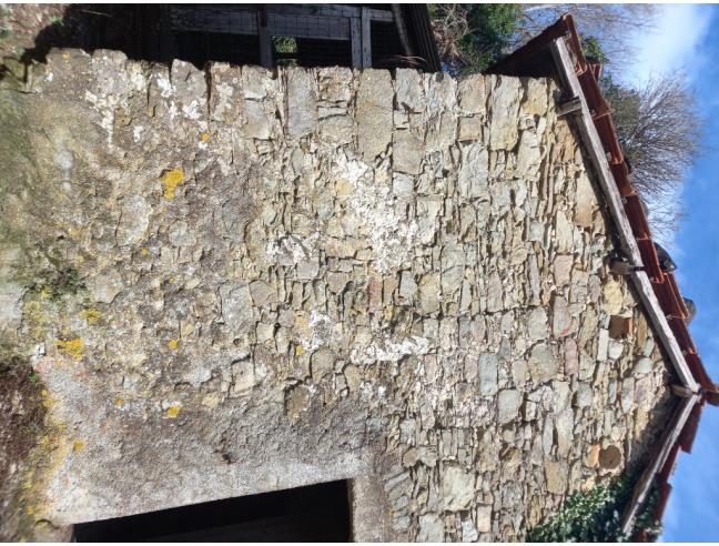 Anteprima foto 2 - Altro in Vendita a Borghetto di Vara - Ripalta