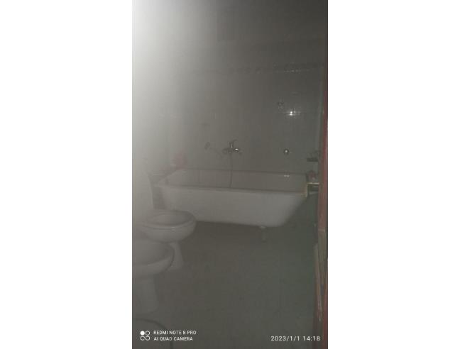 Anteprima foto 2 - Altro in Vendita a Brusnengo (Biella)