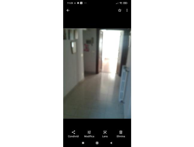 Anteprima foto 4 - Altro in Vendita a Brusnengo (Biella)