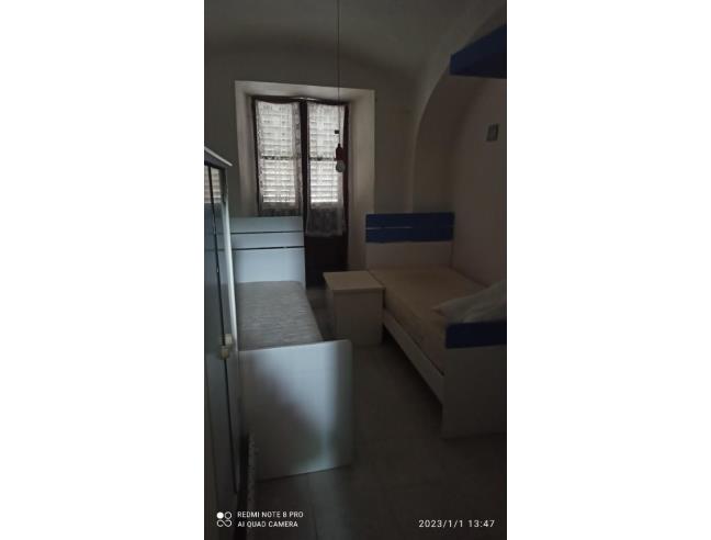 Anteprima foto 8 - Altro in Vendita a Brusnengo (Biella)