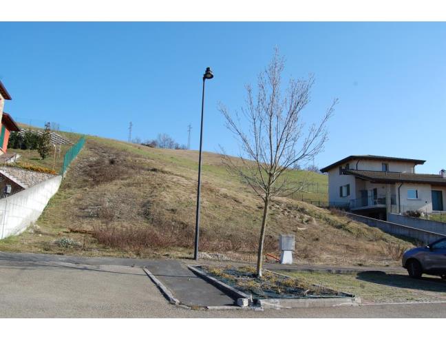 Anteprima foto 2 - Altro in Vendita a Canossa (Reggio Emilia)