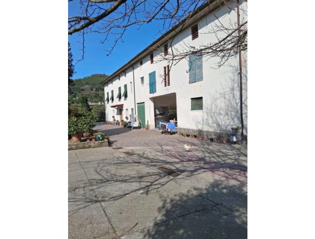 Anteprima foto 2 - Altro in Vendita a Capannori (Lucca)