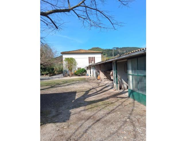Anteprima foto 4 - Altro in Vendita a Capannori (Lucca)