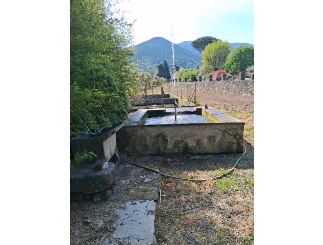 Anteprima foto 5 - Altro in Vendita a Capannori (Lucca)
