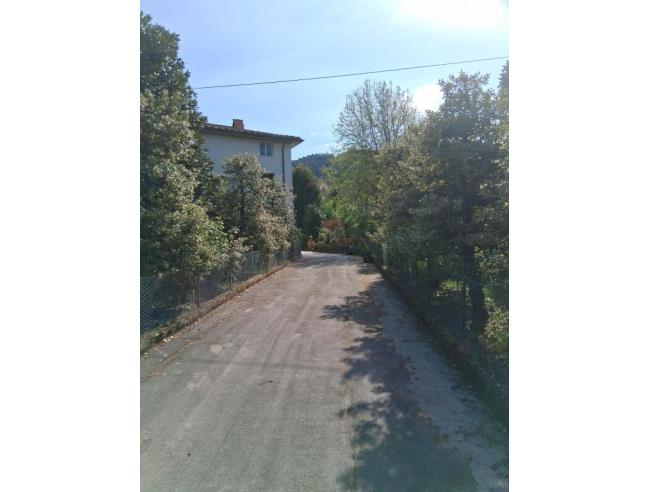 Anteprima foto 6 - Altro in Vendita a Capannori (Lucca)