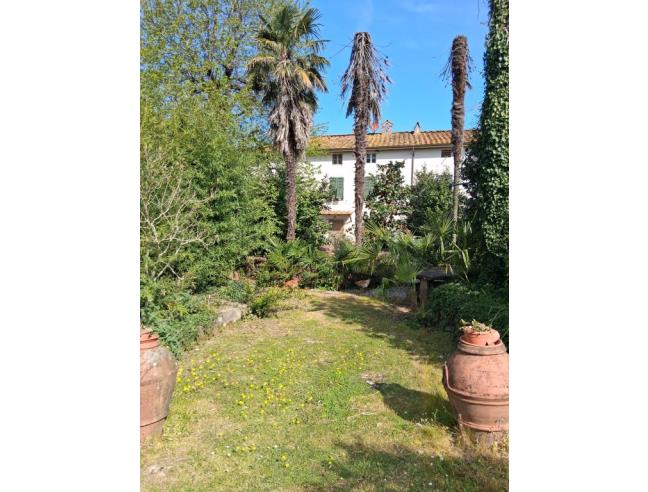 Anteprima foto 7 - Altro in Vendita a Capannori (Lucca)