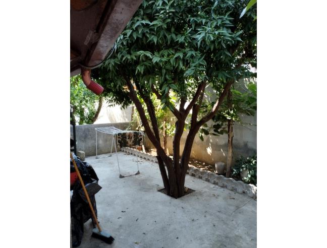 Anteprima foto 8 - Altro in Vendita a Casagiove (Caserta)