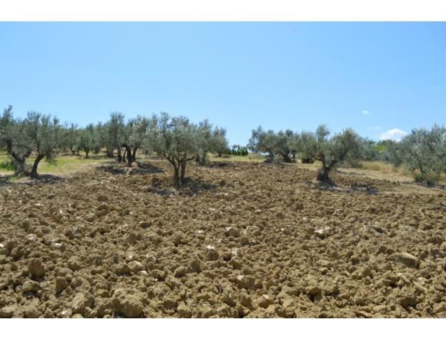 Anteprima foto 5 - Altro in Vendita a Casalincontrada - Sant'Ilio