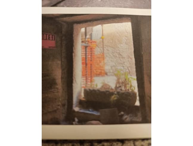 Anteprima foto 2 - Altro in Vendita a Casperia (Rieti)