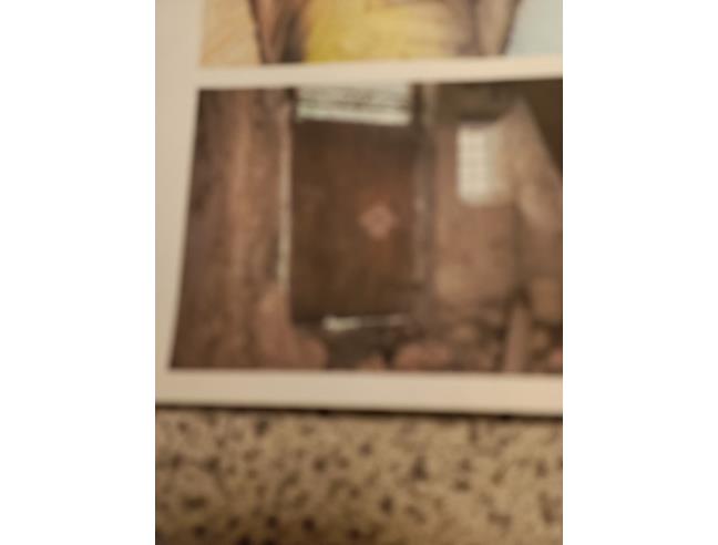 Anteprima foto 3 - Altro in Vendita a Casperia (Rieti)