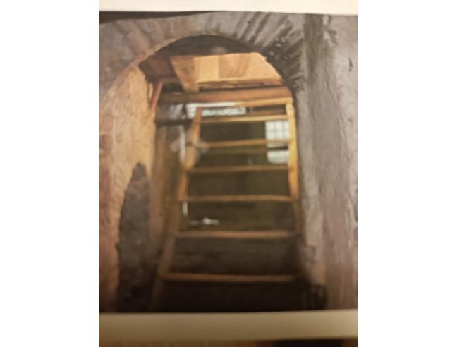 Anteprima foto 5 - Altro in Vendita a Casperia (Rieti)