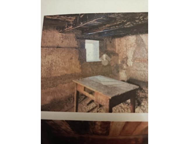 Anteprima foto 7 - Altro in Vendita a Casperia (Rieti)