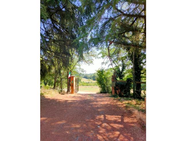 Anteprima foto 3 - Altro in Vendita a Castell'Arquato - Villa San Lorenzo