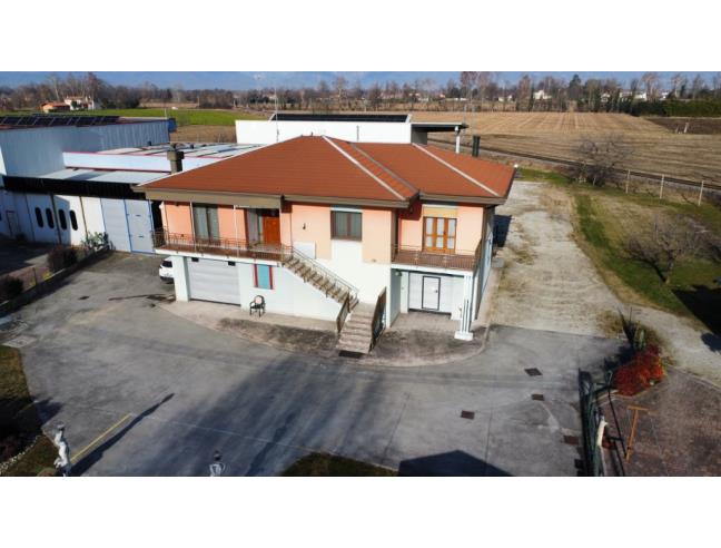 Anteprima foto 2 - Altro in Vendita a Castello di Godego (Treviso)