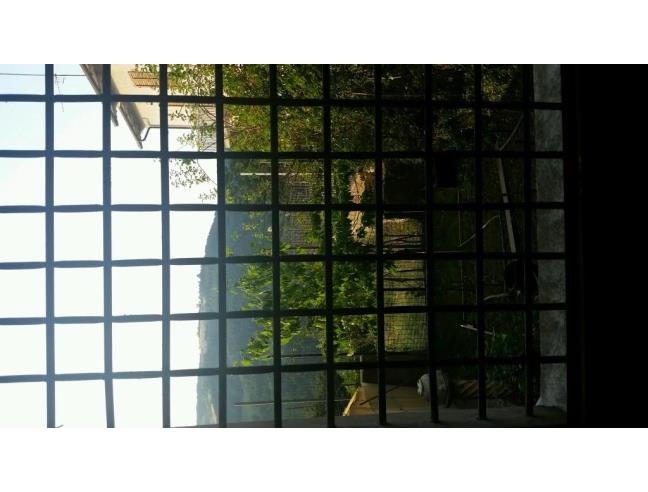 Anteprima foto 2 - Altro in Vendita a Castiglione dei Pepoli (Bologna)