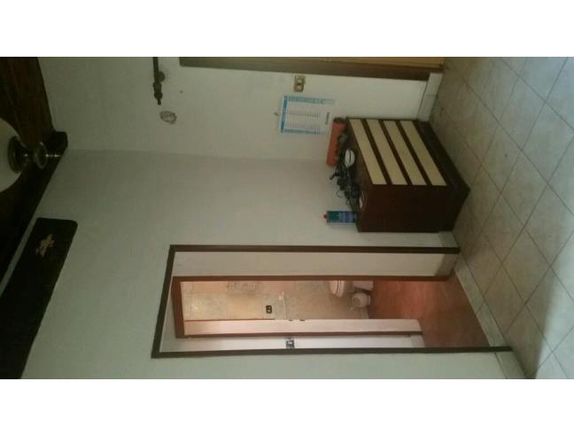 Anteprima foto 5 - Altro in Vendita a Castiglione dei Pepoli (Bologna)