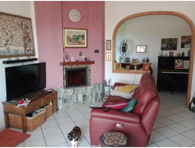Anteprima foto 2 - Altro in Vendita a Cecina (Livorno)