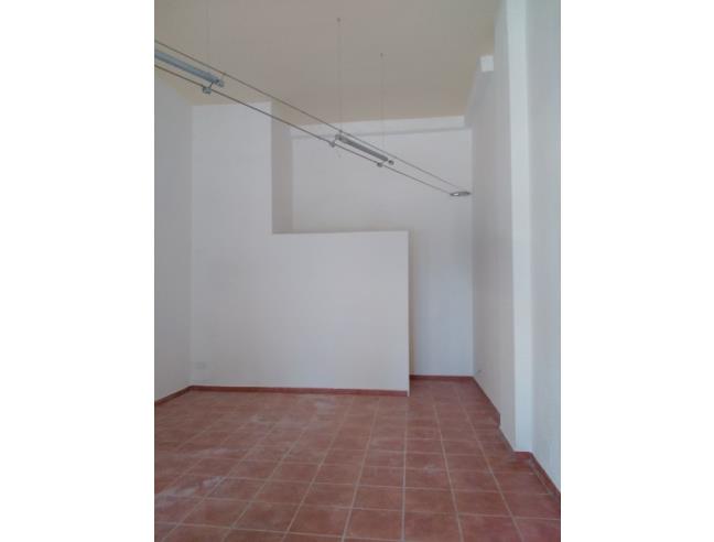 Anteprima foto 2 - Altro in Vendita a Cecina (Livorno)