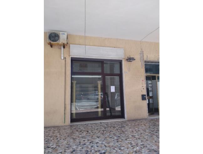 Anteprima foto 3 - Altro in Vendita a Cecina (Livorno)