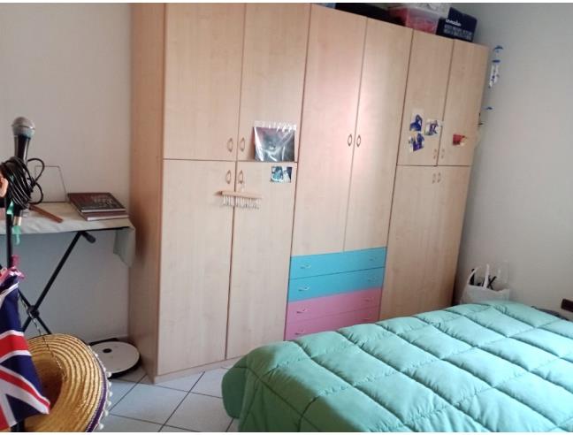 Anteprima foto 6 - Altro in Vendita a Cecina (Livorno)