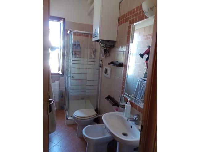 Anteprima foto 8 - Altro in Vendita a Cecina (Livorno)