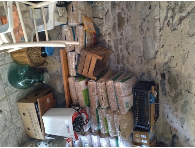 Anteprima foto 4 - Altro in Vendita a Ceriana (Imperia)