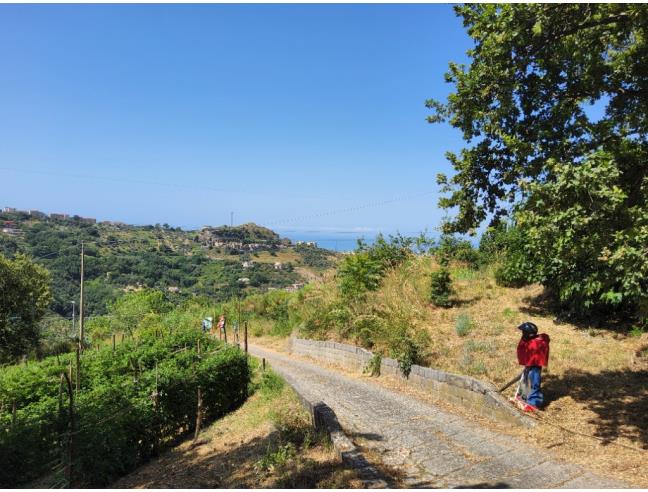 Anteprima foto 7 - Altro in Vendita a Cetraro (Cosenza)
