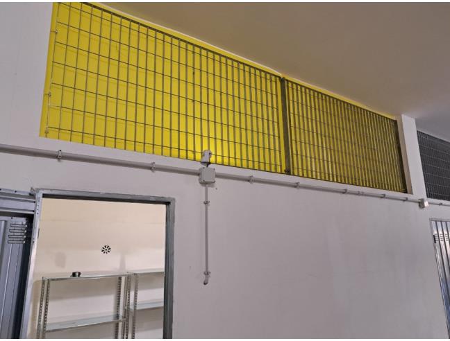 Anteprima foto 3 - Altro in Vendita a Civitavecchia (Roma)