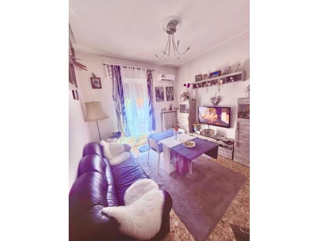 Anteprima foto 3 - Altro in Vendita a Codigoro (Ferrara)