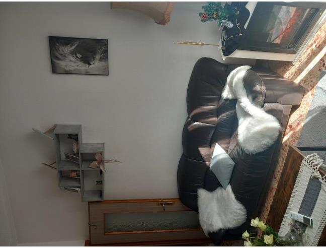 Anteprima foto 3 - Altro in Vendita a Codigoro (Ferrara)