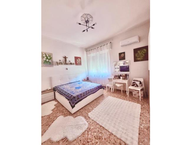 Anteprima foto 4 - Altro in Vendita a Codigoro (Ferrara)