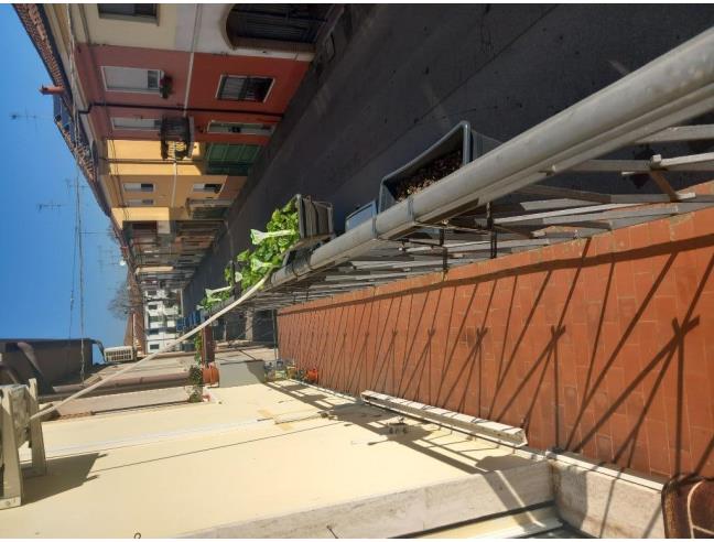 Anteprima foto 5 - Altro in Vendita a Codigoro (Ferrara)