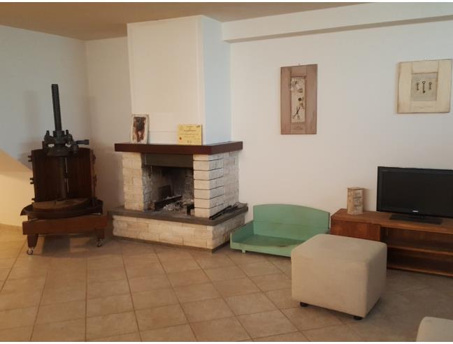 Anteprima foto 2 - Altro in Vendita a Collesalvetti (Livorno)