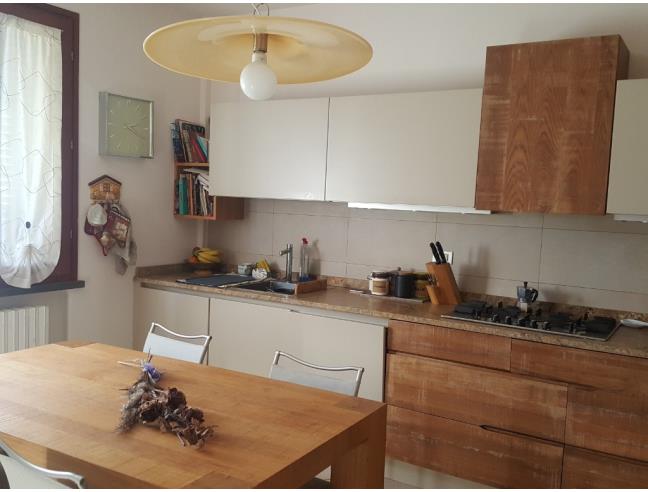 Anteprima foto 6 - Altro in Vendita a Collesalvetti (Livorno)