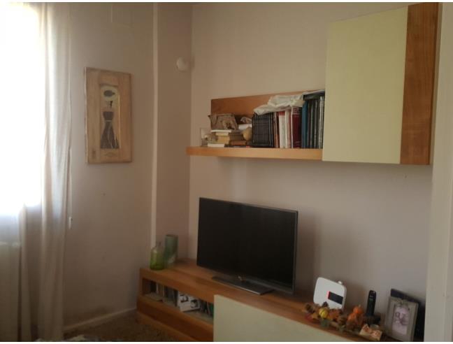 Anteprima foto 8 - Altro in Vendita a Collesalvetti (Livorno)