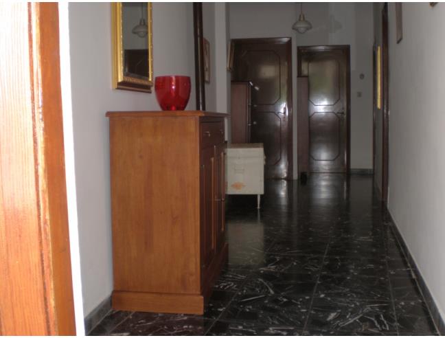 Anteprima foto 4 - Altro in Vendita a Colletorto (Campobasso)