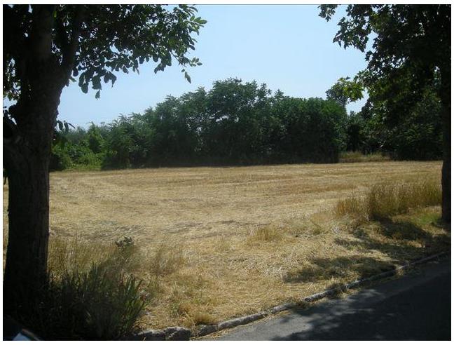 Anteprima foto 2 - Altro in Vendita a Colli al Metauro (Pesaro e Urbino)