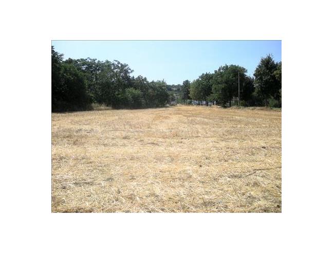 Anteprima foto 3 - Altro in Vendita a Colli al Metauro (Pesaro e Urbino)