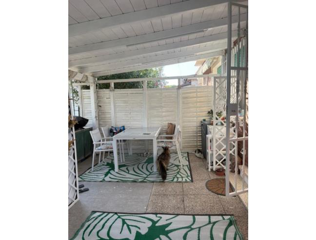 Anteprima foto 2 - Altro in Vendita a Comacchio - Lido Degli Scacchi