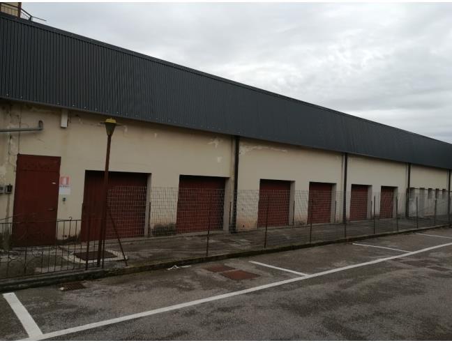 Anteprima foto 3 - Altro in Vendita a Conegliano (Treviso)