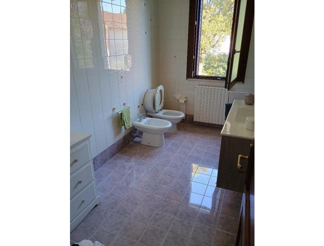 Anteprima foto 3 - Altro in Vendita a Copparo (Ferrara)