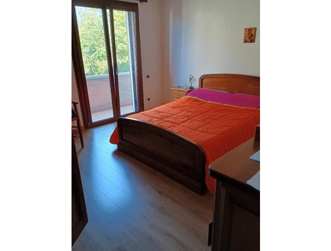 Anteprima foto 4 - Altro in Vendita a Copparo (Ferrara)